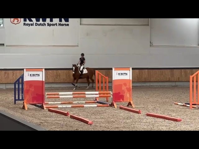 Riding movie EPTM Test highlight KWPN mare Sunita (Baltic VDL x Corland).