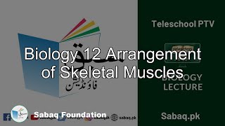 Biology Class 12 Arrangement of Skeletal Muscles,Teleschool | Sabaq.pk 