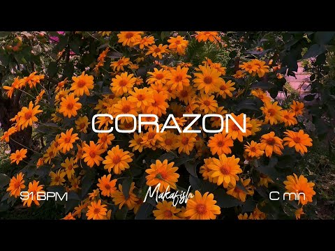 [FREE] PNL x DTF type beat "Corazon" - Instru cloud rap / Instru Afrobeat (Prod by MAKΦSH)