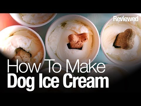 Here's how to make dog friendly ice cream treats