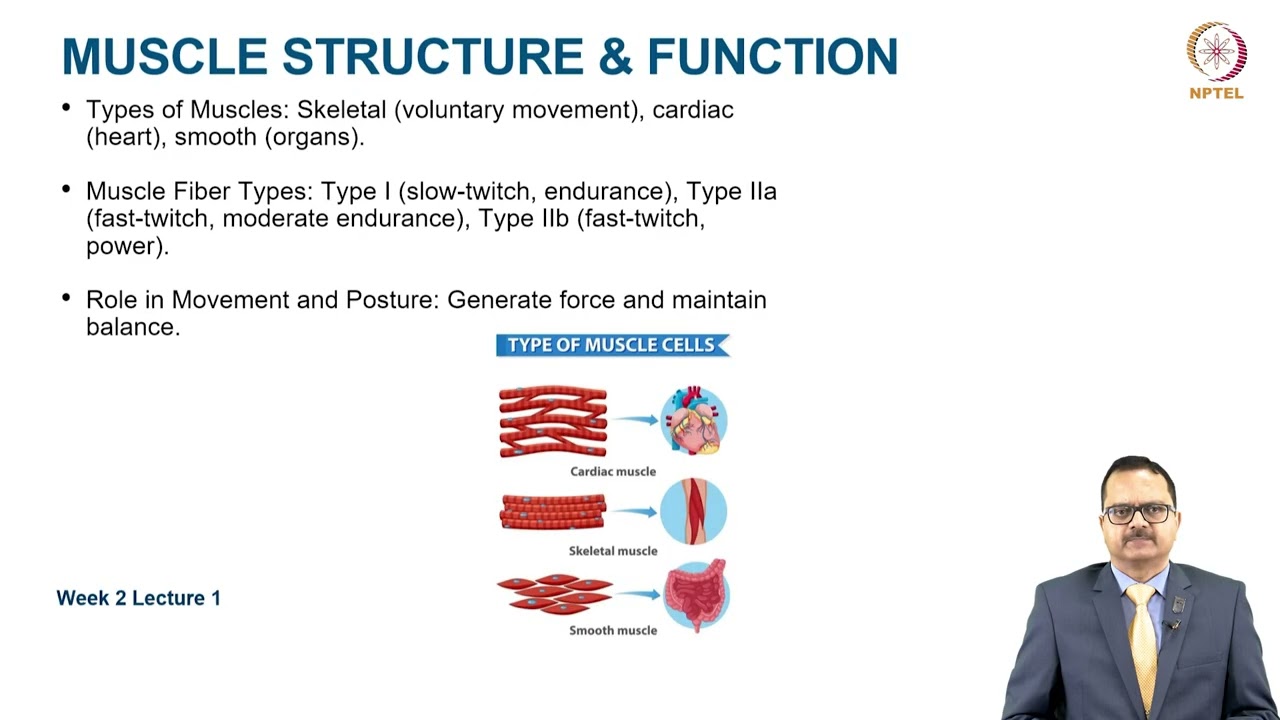 Overview of the Musculoskeletal System