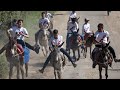 Moroccan village celebrates donkeys at festival after hiatus