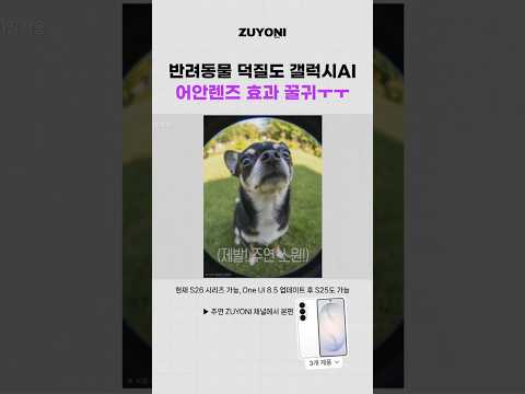 우리집 강아지를 갤럭시로 찍어야 하는 이유ㅋㅋㅋ(귀여움 주의)