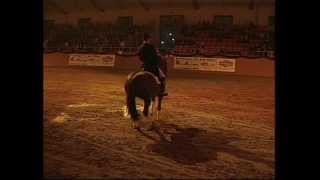 Disparition de Dream of Heidelberg II