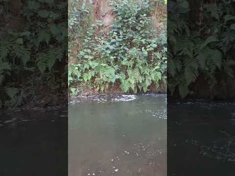 #araxá #minasgerais #barreiro #2026 #brasil #agua #natureza #rio #nature # #interior