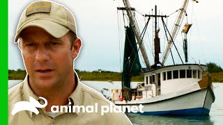 Game Wardens Catch Fishermen Breaking The Law | Lone Star Law