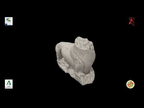 Zoomorphic Sculpture: Lion. El Pajarillo Sculptural Group (Huelma, Jaén, Spain)