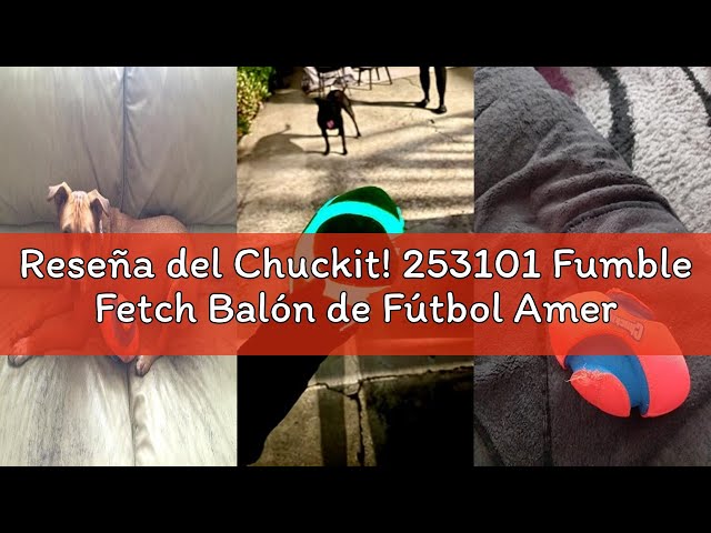 Vídeo relacionado con Chuckit! 253101 Fumble Fetch Balón de Fútbol Americano, S