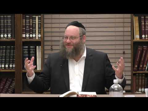 Haskomos on Tanya - Rabbi Naftali Silberberg