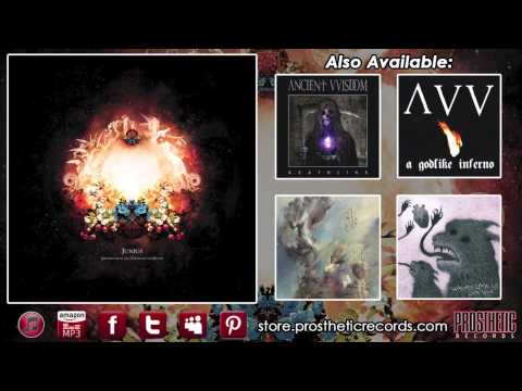 Junius - Transcend the Ghost (Official track stream)