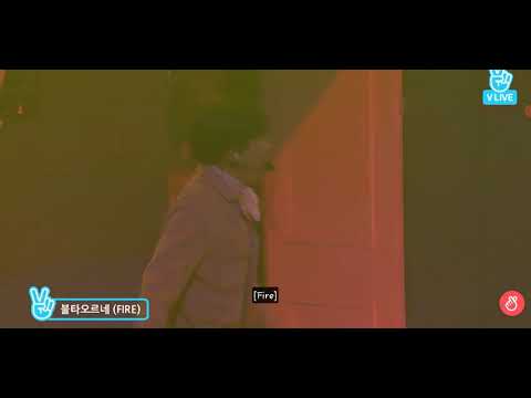 [ENG SUB] BTS Home Party.