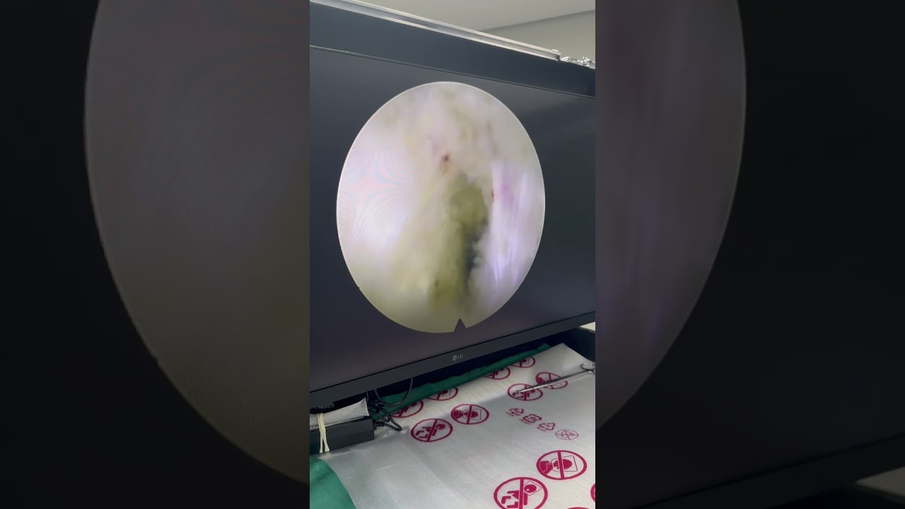 Andre Sousa Garcia-8