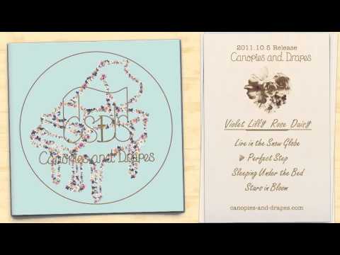 Canopies and Drapes /  Violet Lilly Rose Daisy