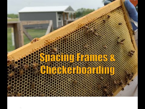 Checking Supers, Checkerboarding, and Spacing Frames in Supers