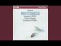 Schubert: Winterreise, D.911 - 4. Erstarrung