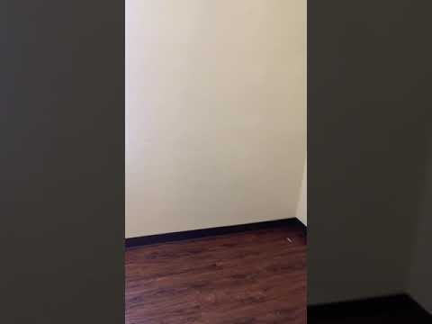 Auklet, LLC - Video 2 of 2