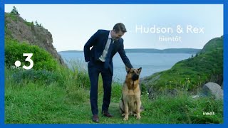 Teaser VF 