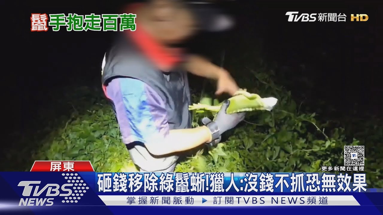 獵龍高手!屏冠軍獵人抓1.5萬隻 領走175萬禮券