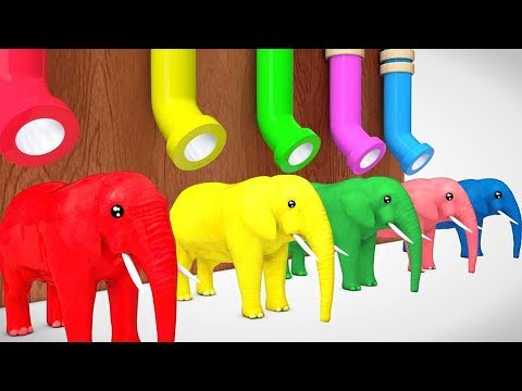 Learn Color Elephant Animal With Drink Cocacola Cartoon for Kids Nursery Rhymes