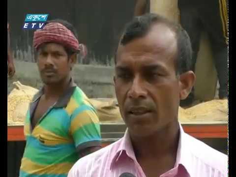 বোরোর ভরা মৌসুমেও ধানের দর নিয়ে হতাশ কৃষক