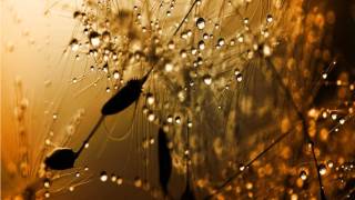 Mark Kozelek   Cruiser