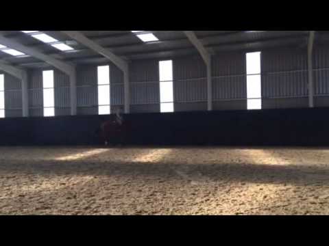 BLM Du Rouet's Irish Envoy