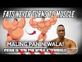 FATS NEVER TURN TO MUSCLE EXPLAINED|Maling paniniwala babasagin natin| isang tanong isang sagot