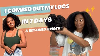 Part 1 |  Combed Out Locs In 7 days #jpmlocjourney