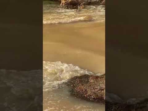 Barragem da Usina Aliança, Aliança -PE #alianca #usina #pernambuco