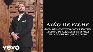 Saeta del Mochuelo con la Mariana Seguido de Plazoleta de Sevilla en la Noche del Jueves Santo Lyrics English Translation