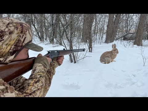 Winter Rabbit Hunting with a Lever Action .22 Rifle! (CATCH CLEAN COOK)