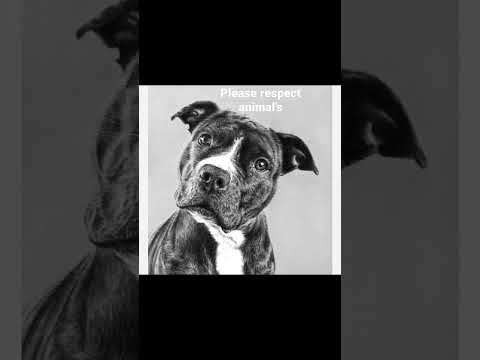 Dog sketch 😏😏😼