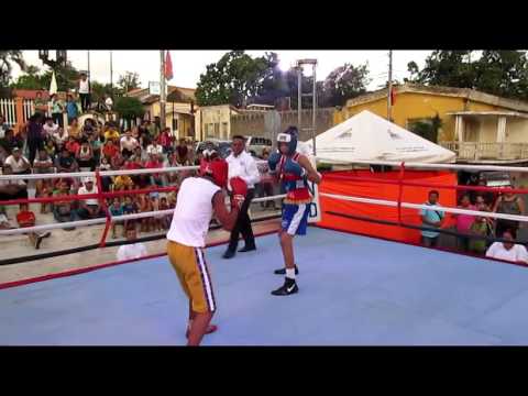 Nilo guerrero cuadra(3)