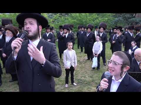 Motty Ilowitz - Chupa Snippets With Yiddish Gramen | מאטי אילאוויטש חופה
