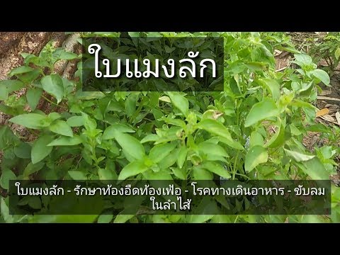 โรคสะเก็ดเงินบำเหน็จบำนาญ ซื้อ akrustal ใน Smolensk