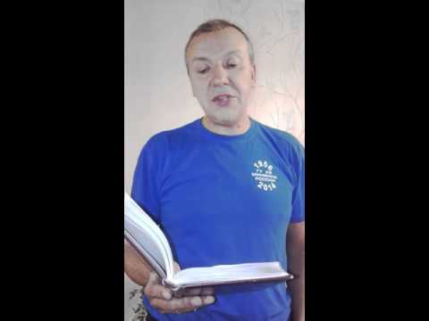 Стих о разбившемся самолете в египте