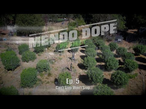 THE "MENDO DOPE" PROJECT - EP 5 (CAN'T STOP WON'T STOP)