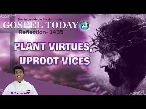 18/03/2022 | Reflection 1435 || Br Tom John OP on Matthew 21:33-43, 45-46