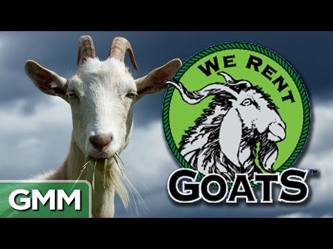 6 Weird but Real Companies