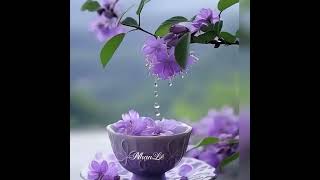 Download lagu Richard Clayderman - Song of Joy 🎶🌹 mp3 Download lagu Richard Clayderman - Song of Joy 🎶🌹 mp3