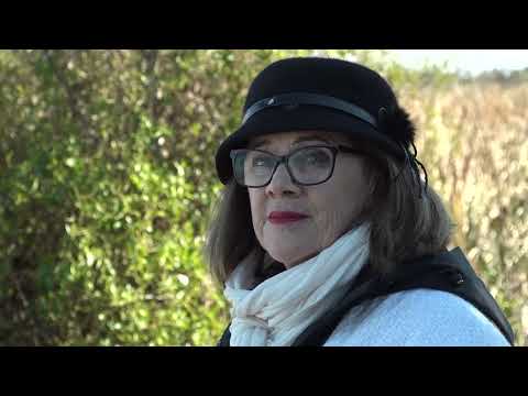 Mitos y leyendas: Las Brujas