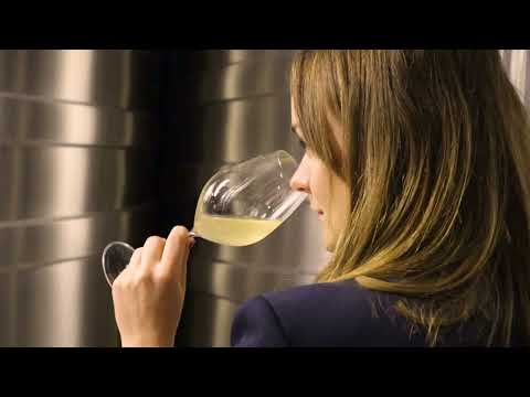 Le Champagne Vincent d'Astrée vous ouvre ses portes.