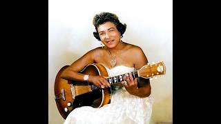 Memphis Minnie Bumble Bee Animated