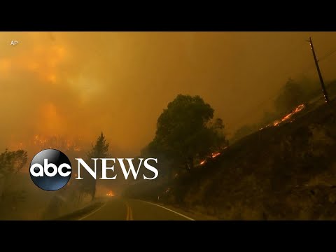 Пожар McKinney Fire в Калифорнии уничтожил всё живое на территории 207 квадратных километров
