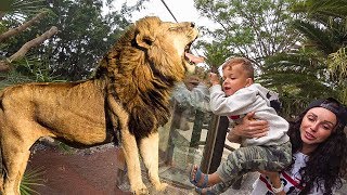 ВЫЖИВАНИЕ В ДЖУНГЛЯХ. Kids and wild animals At The Mountain Zoo: Lion and monkey with kids
