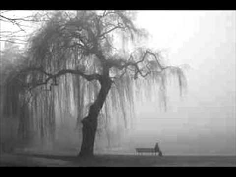 Prochu, StudziK, Nowy, Agnes - Wiara