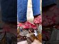 Esha Hi Hota H Pyar Me Sad Emotional Love Viral Shorts