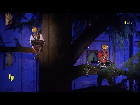 Umbria Jazz goes to University - Two fro Tree and Orchestra