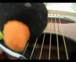 The Penguin song 