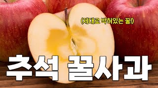 사과를 시장 최고가로 판매하려면 사과 보관, 보존 방법은 필수로 아셔야 합니다!